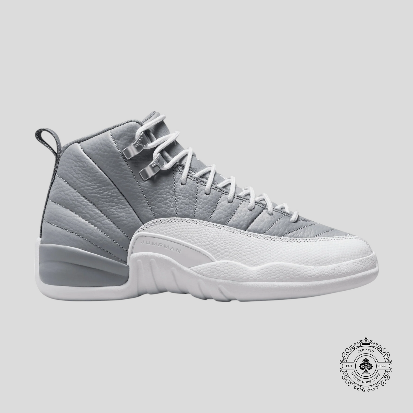 Air Jordan 12 Retro Stealth (GS)