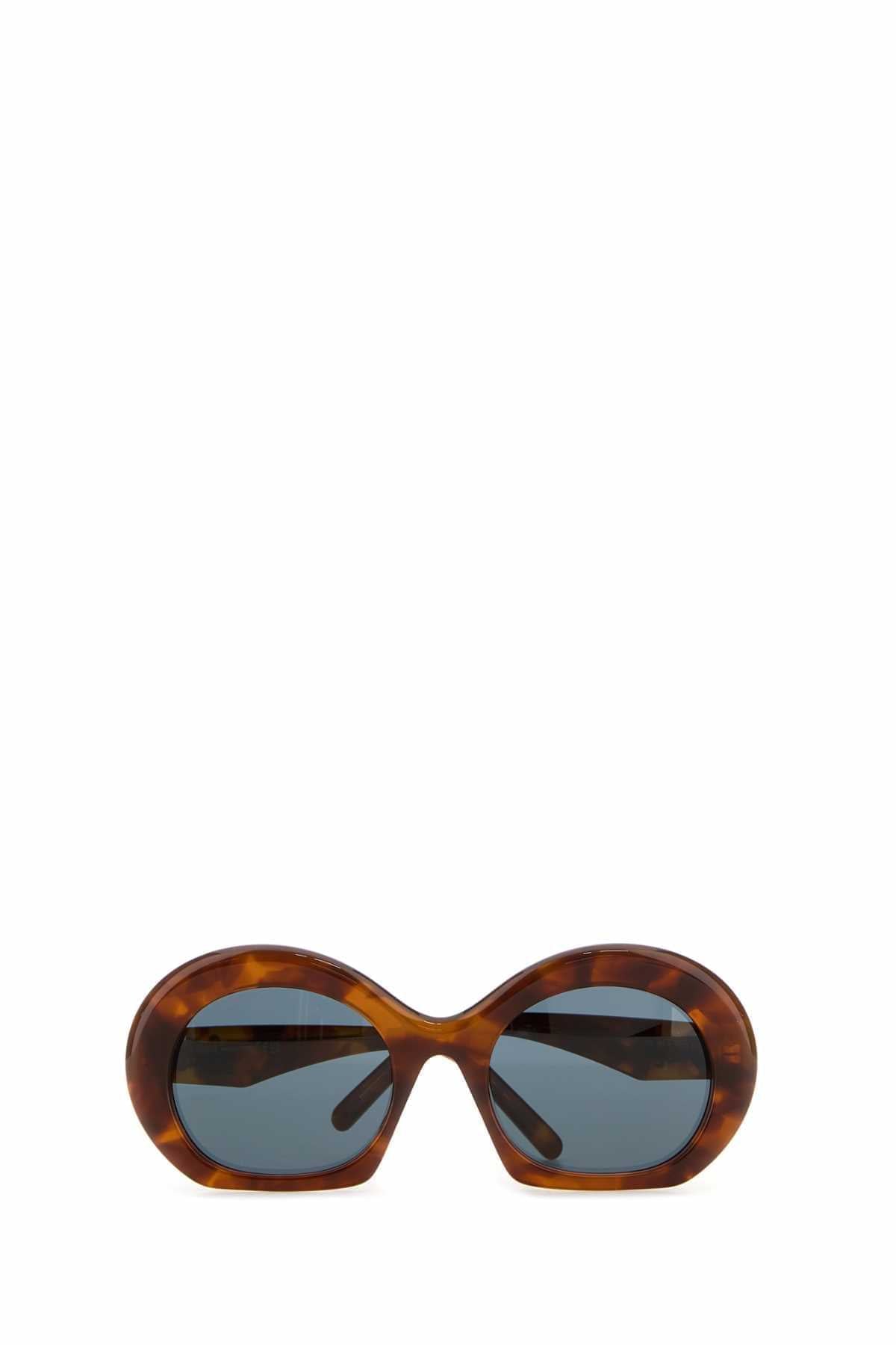 Loewe Unisex Printed Acetate Sunglasses