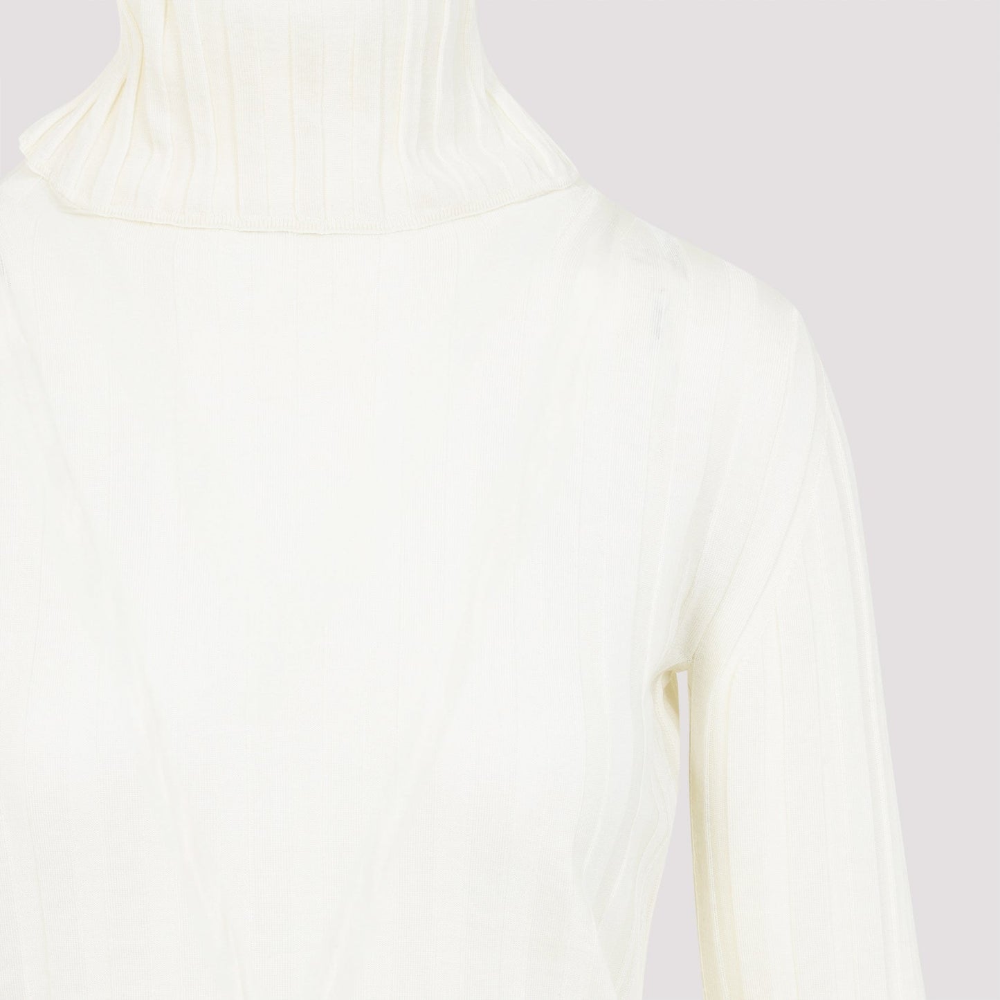 Carven Turtle Neck Underpinning Pullover Women