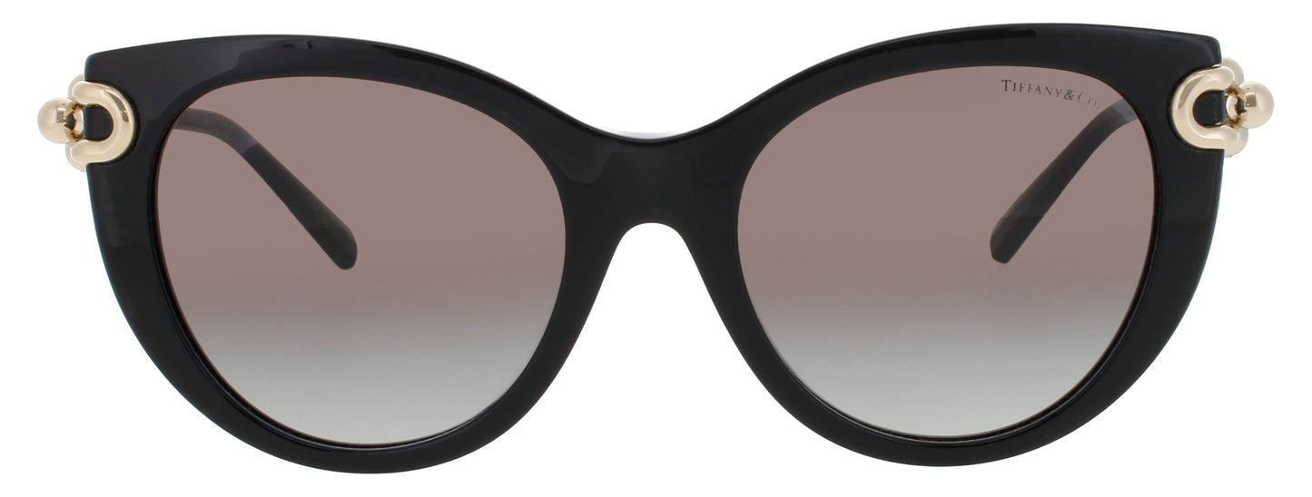 Tiffany & Co Tf4232 Sunglasses