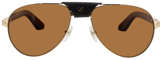 Cartier Ct0495s Sunglasses