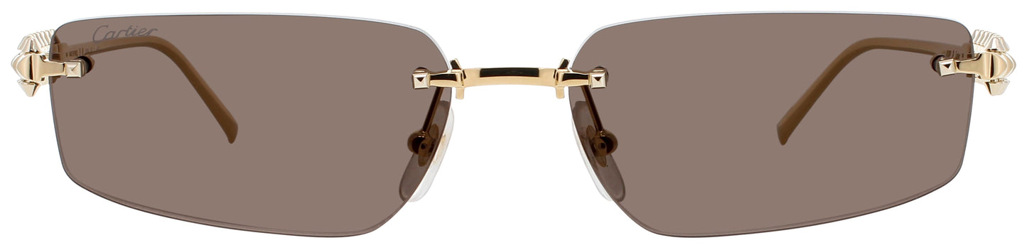 Cartier Ct0544s Sunglasses