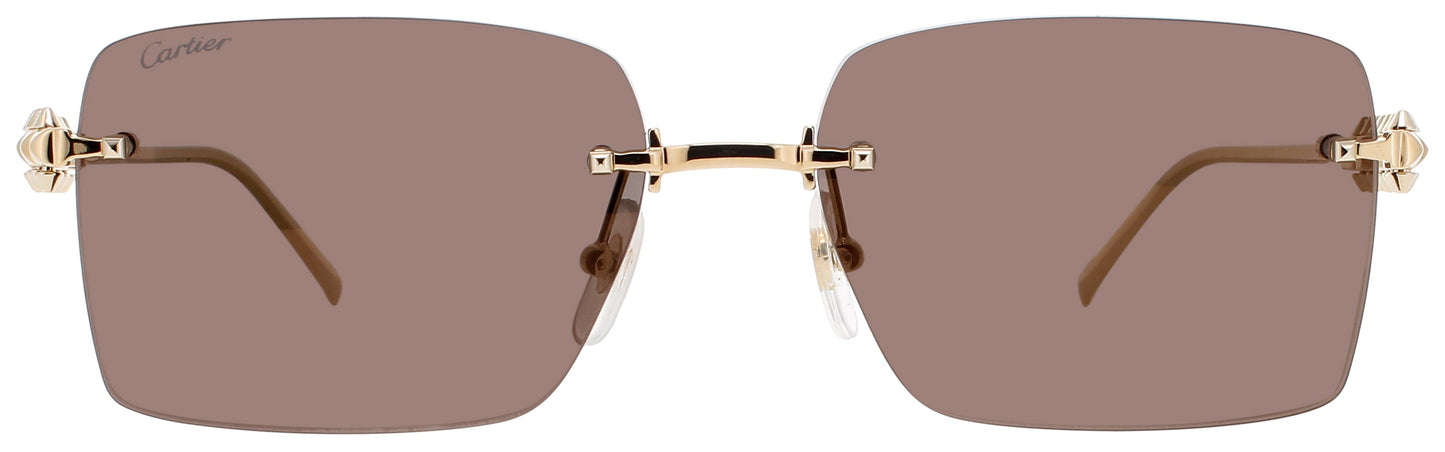 Cartier Ct0545s Sunglasses