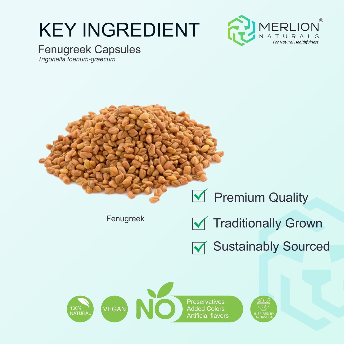 Merlion Naturals Fenugreek 500mg Tablets