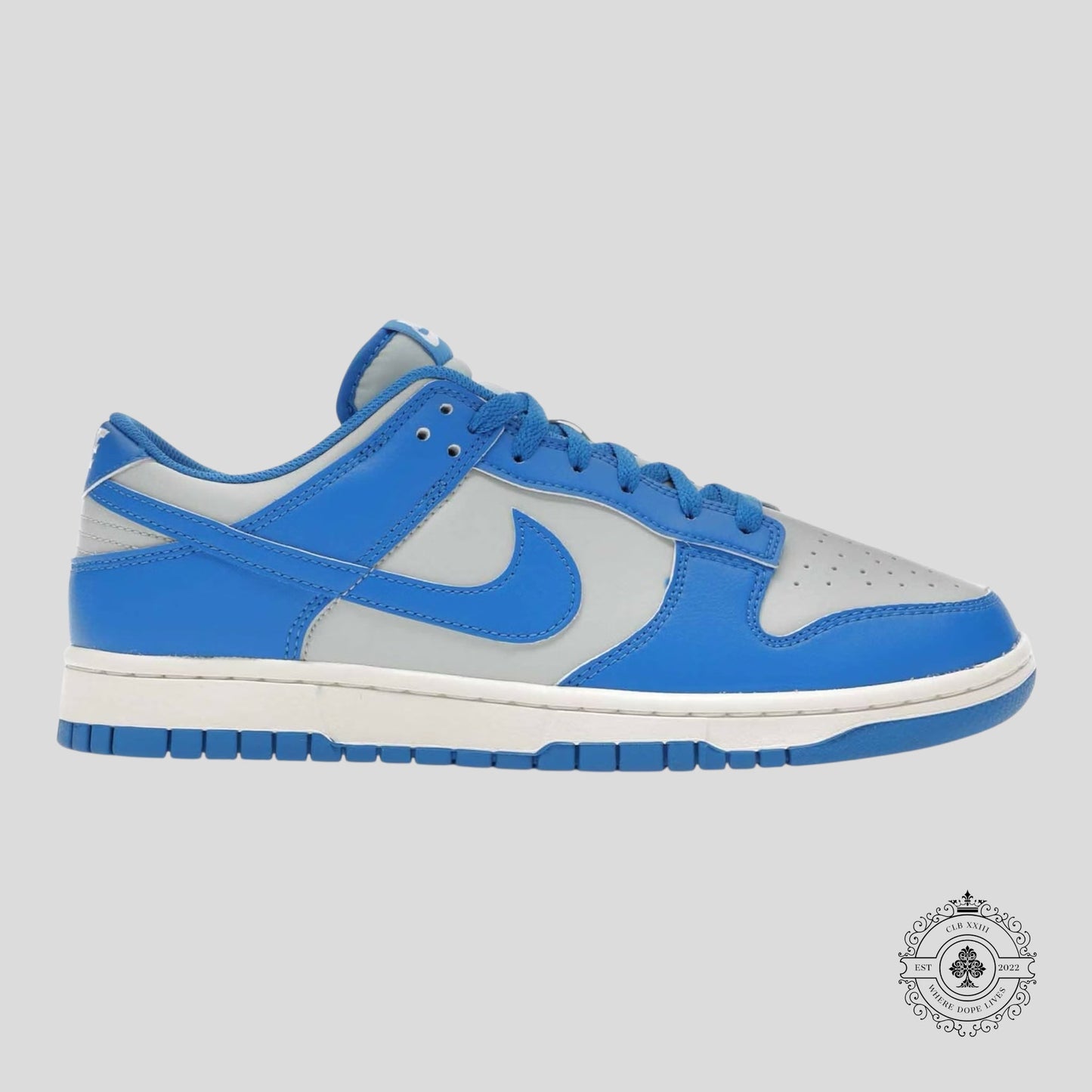 Nike Dunk Low Retro Detroit Lions
