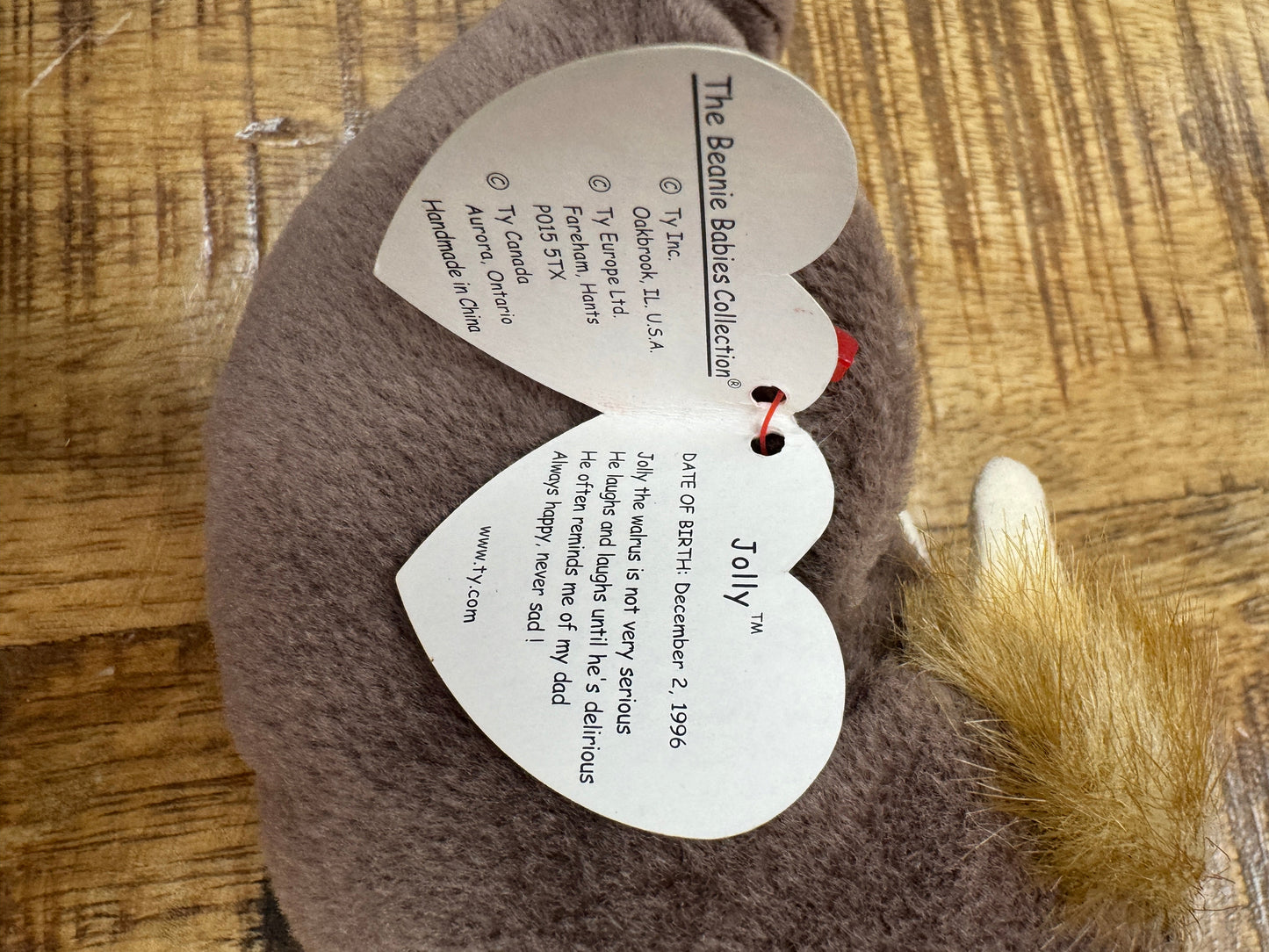 RARE VINTAGE TY Beanie Baby Jolly The Walrus Retired 1996 ☆☆ERRORS☆☆