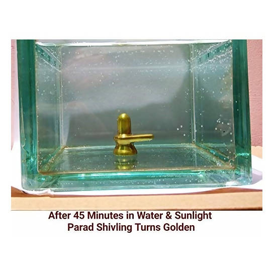 G.S Rana Parad Shivling (50 Gram) Parad Shivling (29 mm)