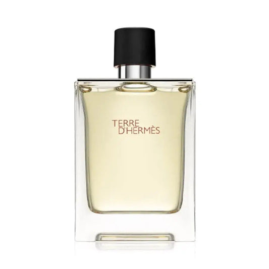 Terre D'Hermes By Hermes For Men 3.3oz EDT Spray