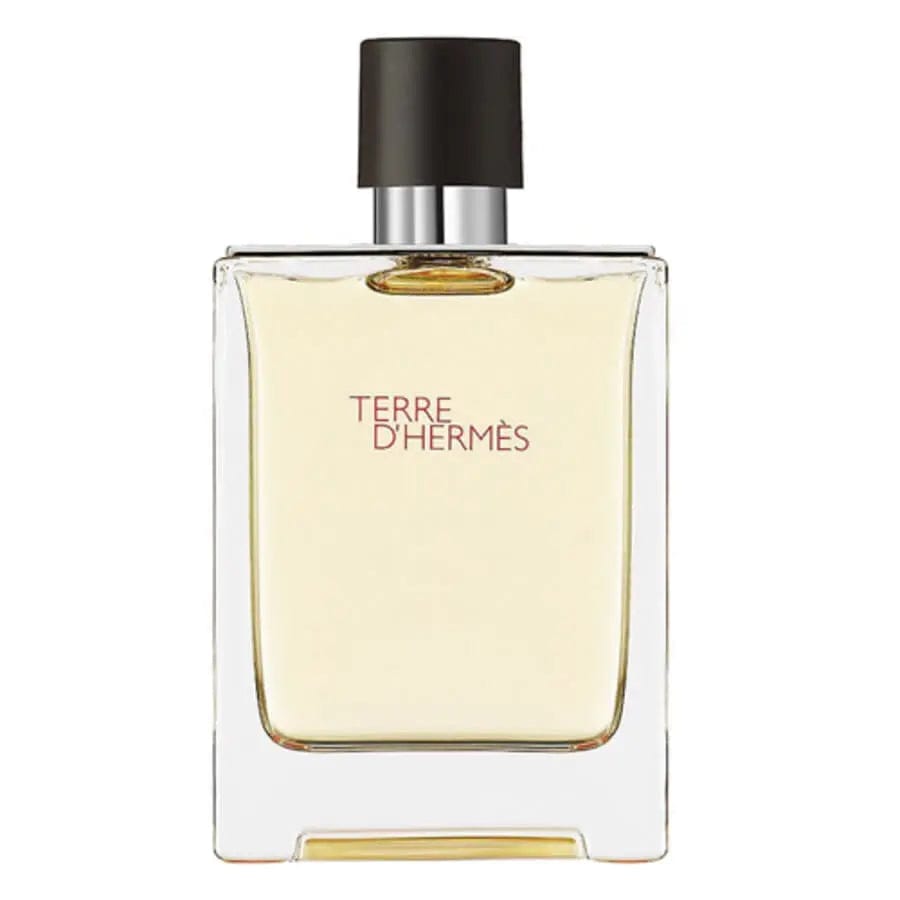 Terre Dhermes Eau Intense Vetiver By Hermes For Men 3.3 oz EDP Spray