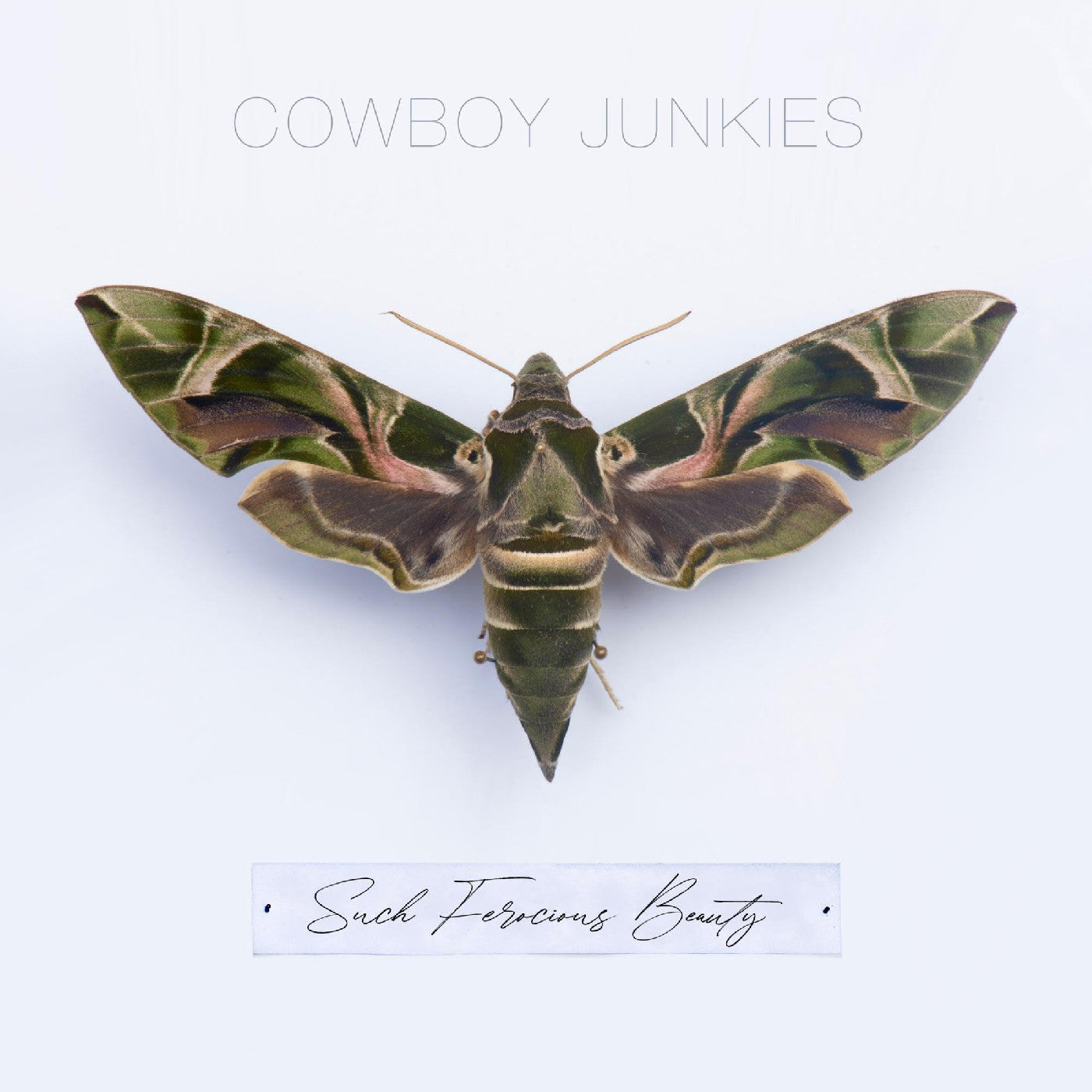 Such Ferocious Beauty (Green Translucent Vinyl) | Mint (M) Mint (M)