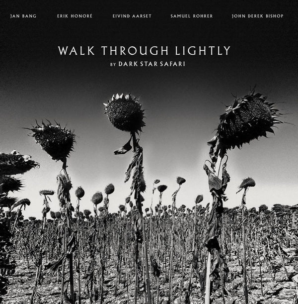 Walk Through Lightly |
