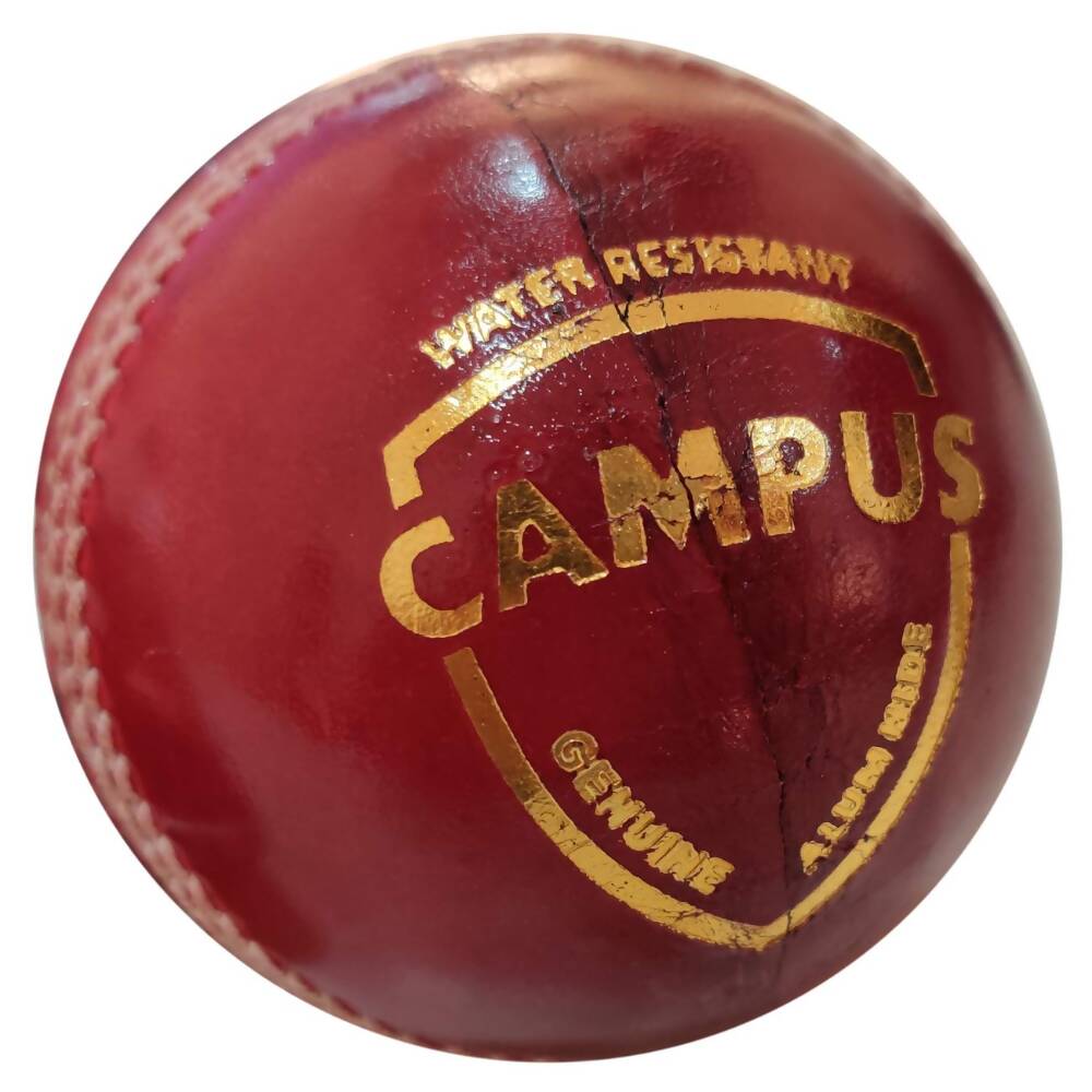 SG Campus Four Piece Leather Cricket Ball - Red