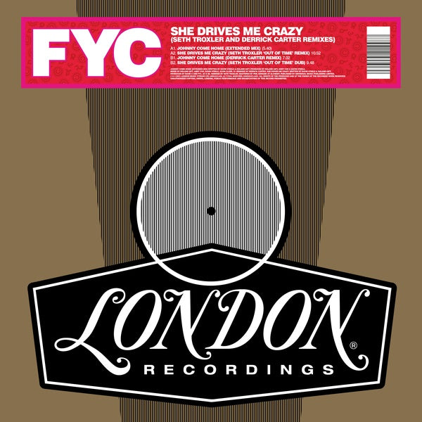 She Drives Me Crazy (Derrick Carter And Seth Troxler Remixes) |