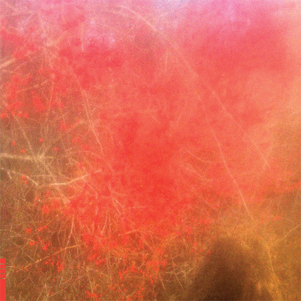 Foom & Foam |