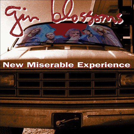 New Miserable Experience (VINYL) | Mint (M) Mint (M)