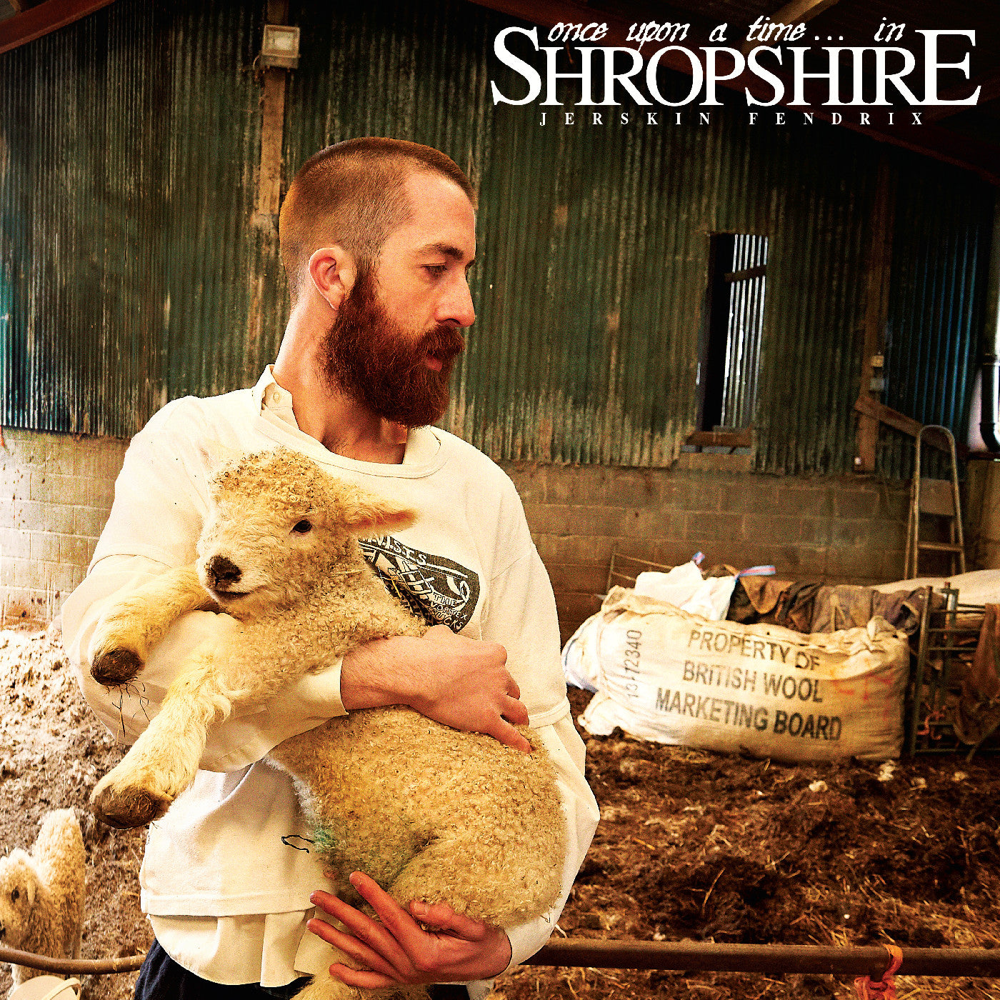 Once Upon A Time. . . In Shropshire (Shropspire Mud Brown 2x Vinyl) | Mint (M) Mint (M)