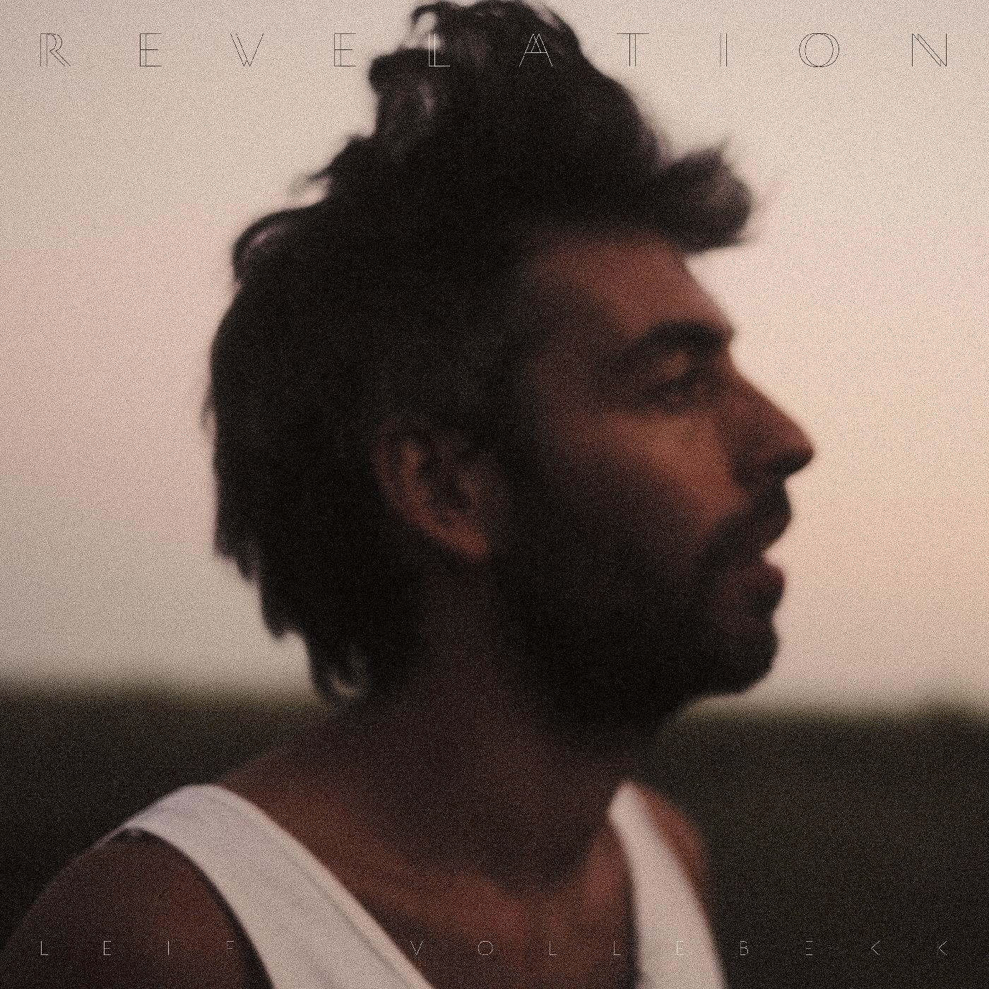 Revelation (CD) | Mint (M) Mint (M)
