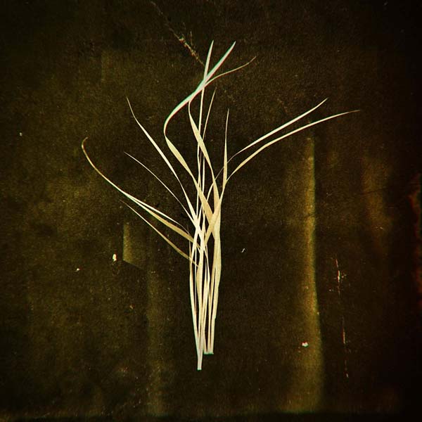 Mnemosyne |