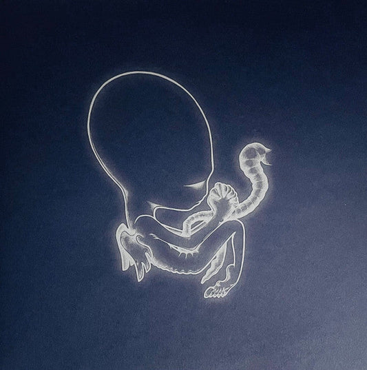 Ágætis Byrjun (COLOR VINYL - VMP) | Mint (M) Mint (M)