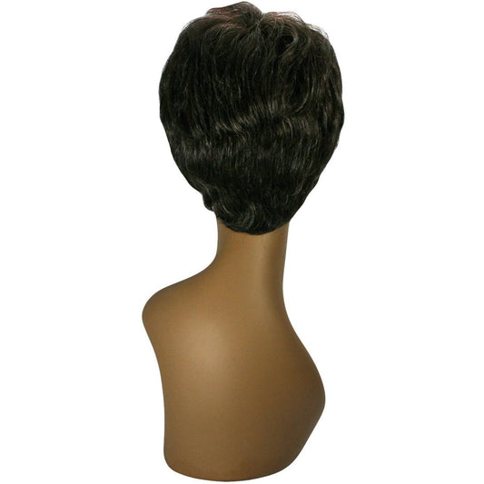 Silver Years Collection Eternal Wig