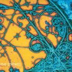 Is This It (Limited Edition Vinyl) | Mint (M) Mint (M)