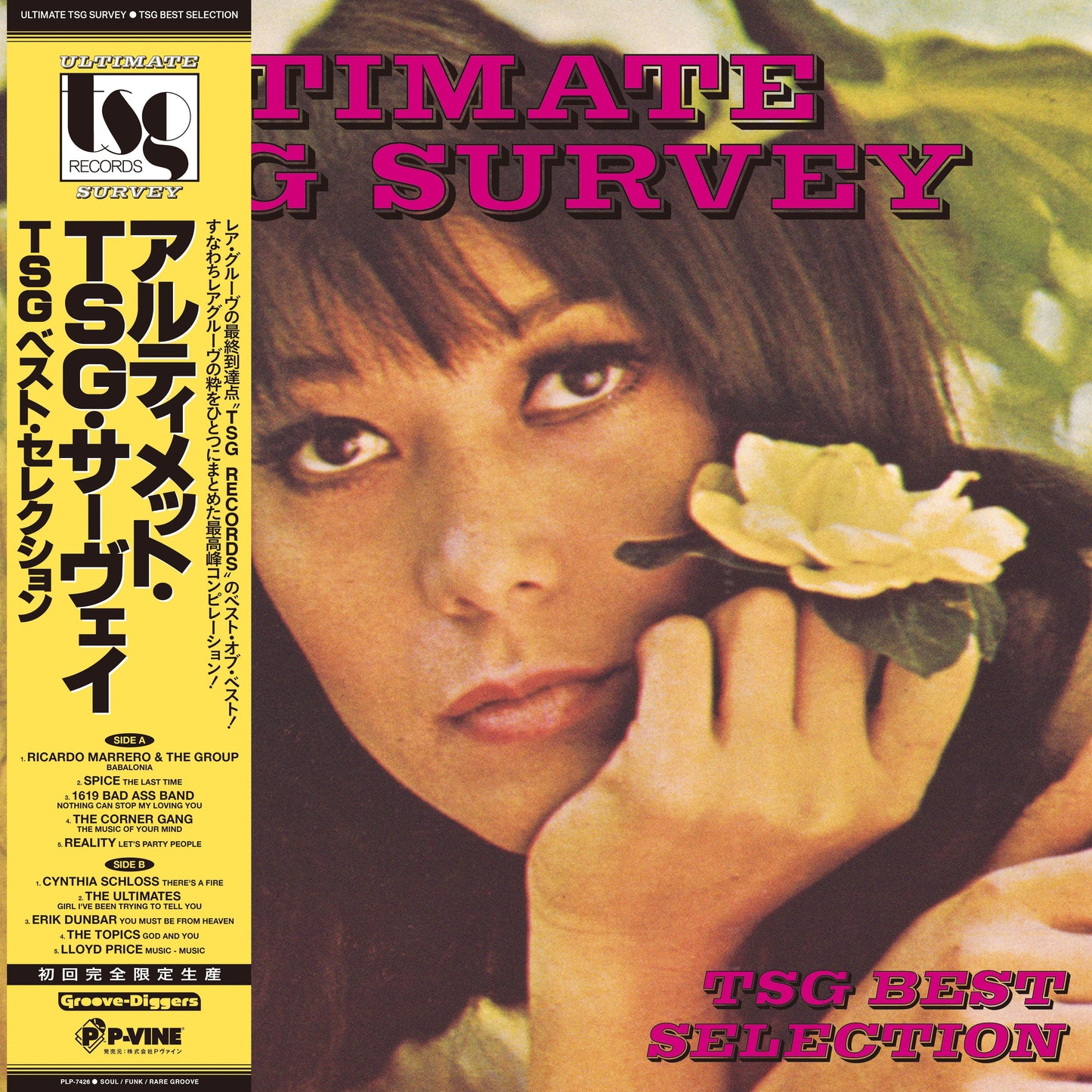 Ultimate Tsg Survey (Tsg Best Selection) |