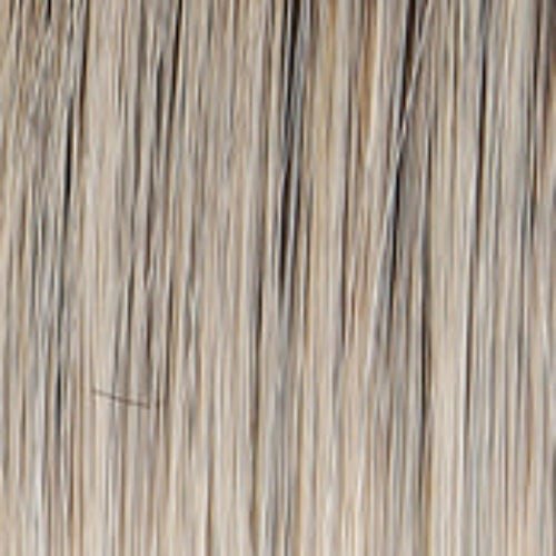 WELL PLAYED - Wig by Raquel Welch