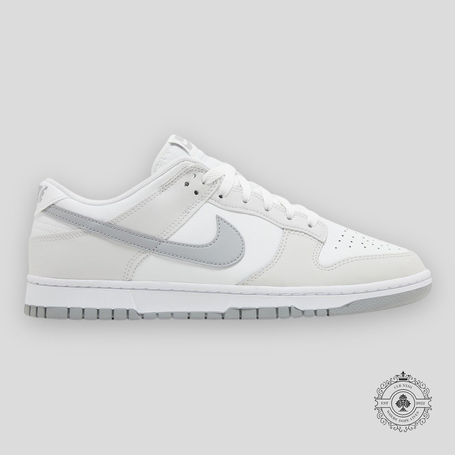 Nike Dunk Low Retro Summit White Light Smoke Grey