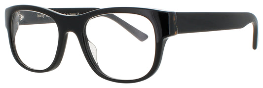 Harry Lary Supporty Eyeglasses