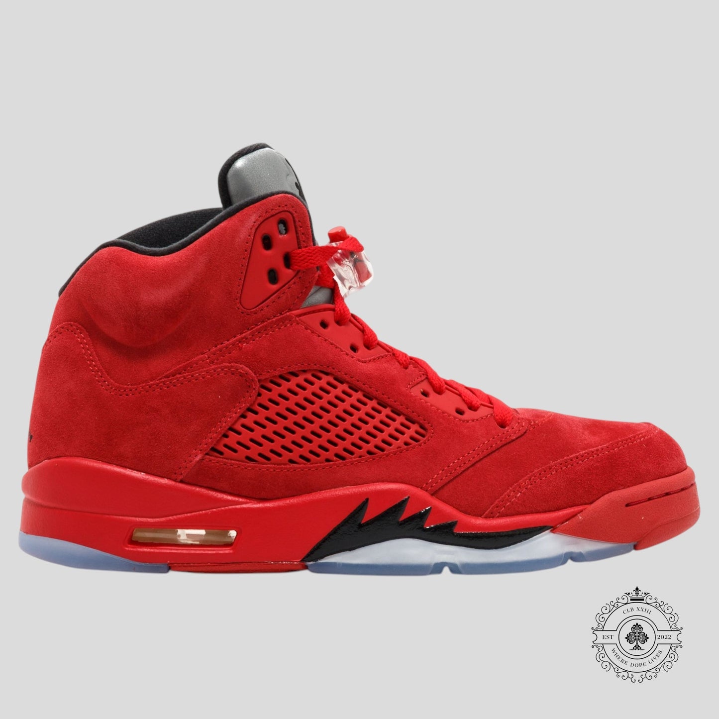 Air Jordan 5 Retro Red Suede