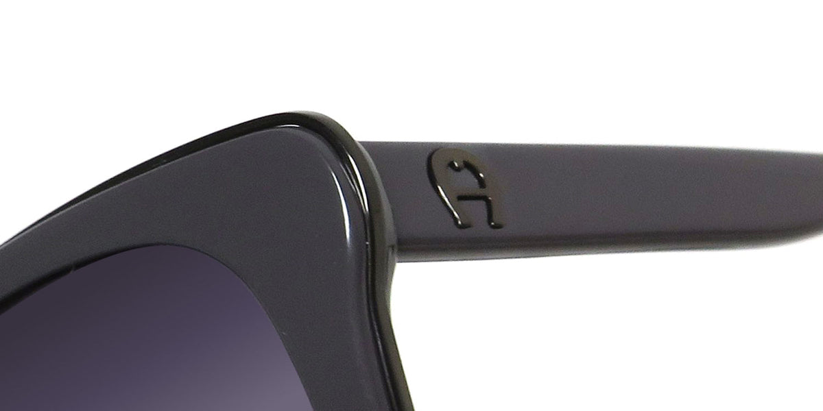 Aigner 35032 Sunglasses