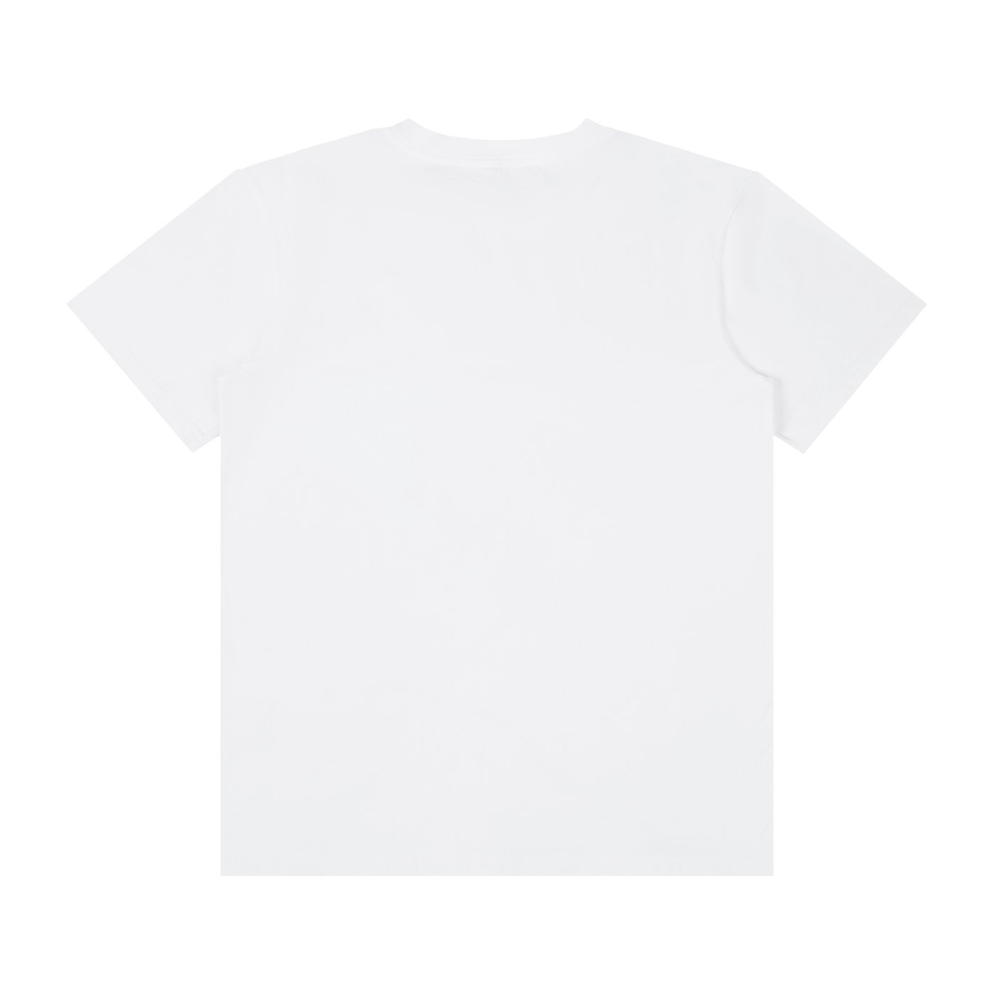 QE Dragons Unisex Classic Crew Neck Cotton T-Shirt