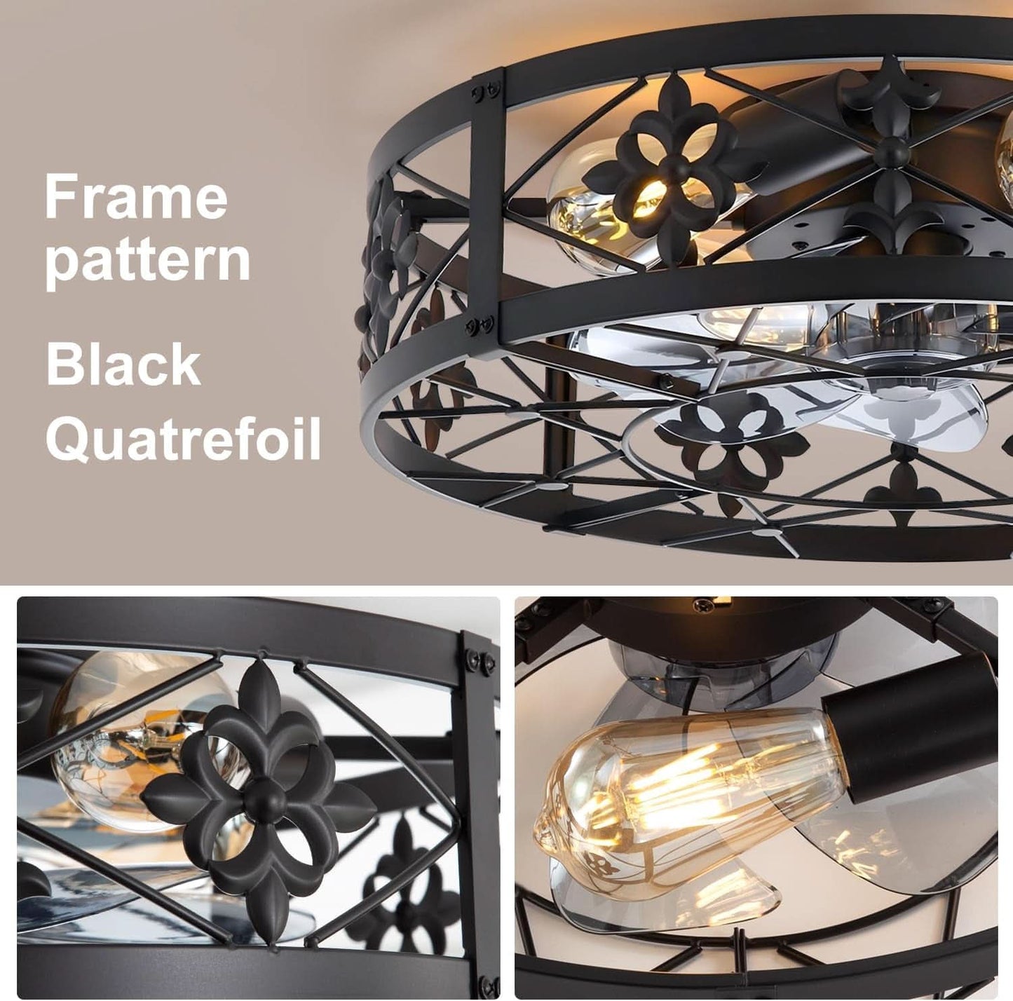 Caged Ceiling Fan 20 Inch Matte Black Remote Control