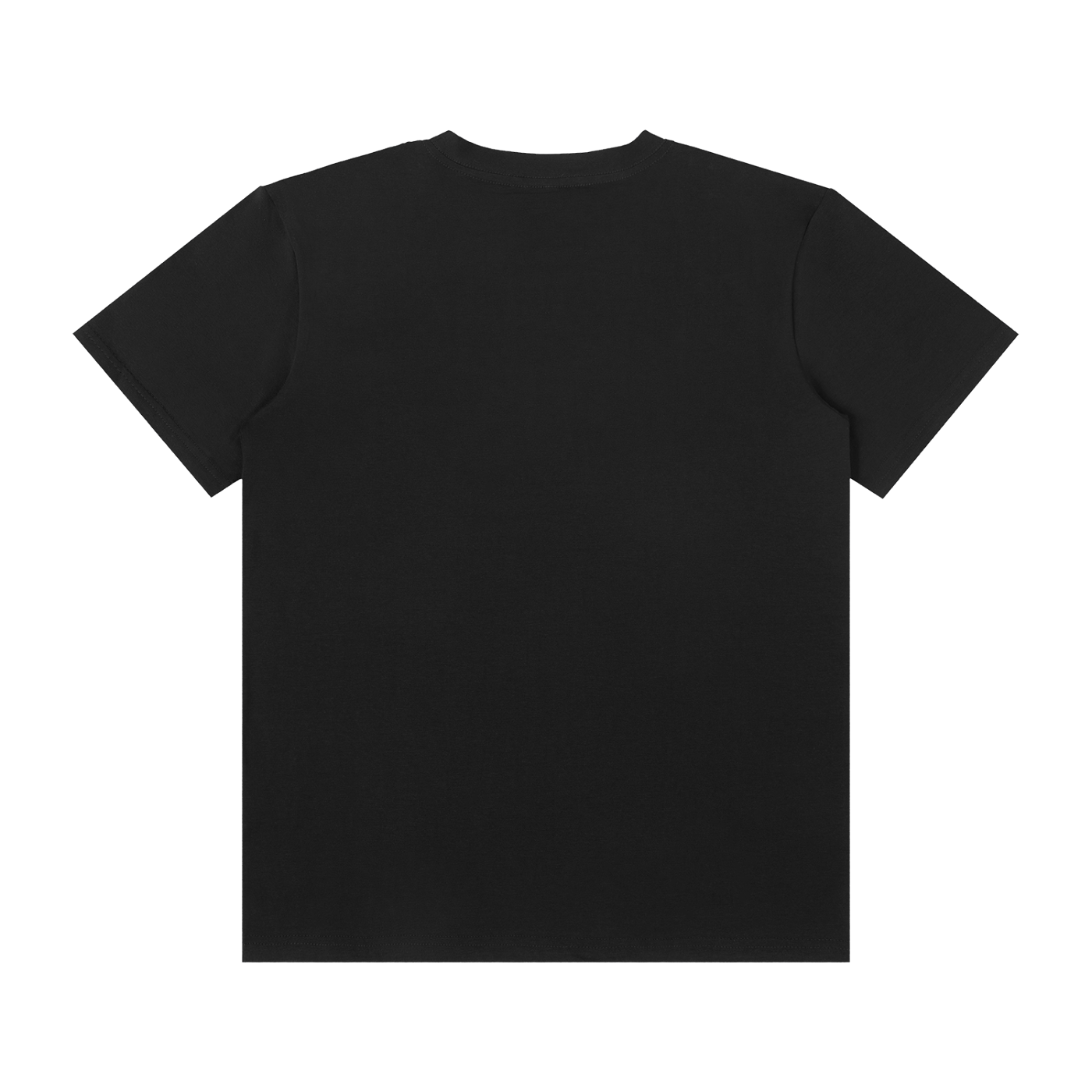 QE Dragons Unisex Classic Crew Neck Cotton T-Shirt