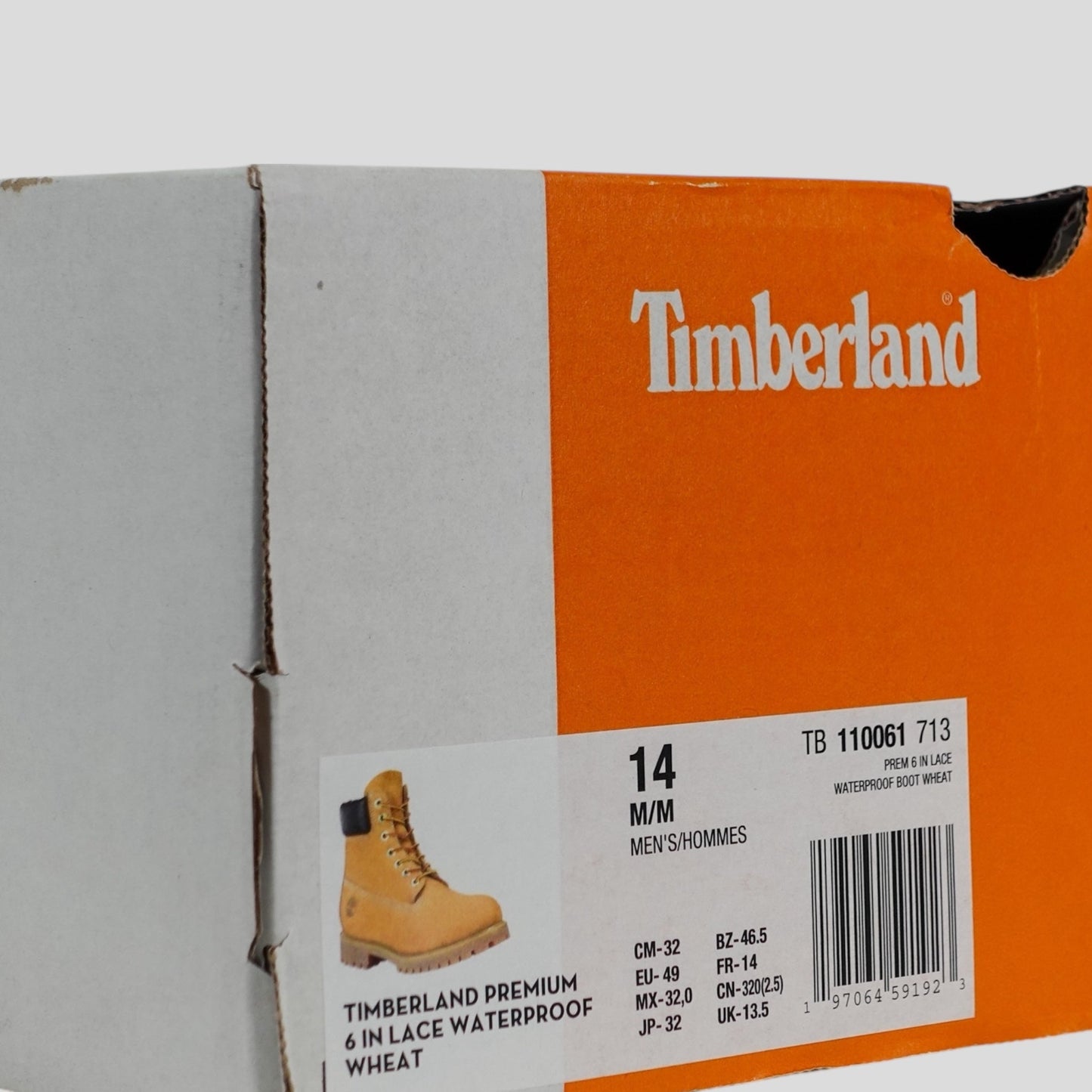 Matty Boy Focal Point Timberland 6-Inch Boot