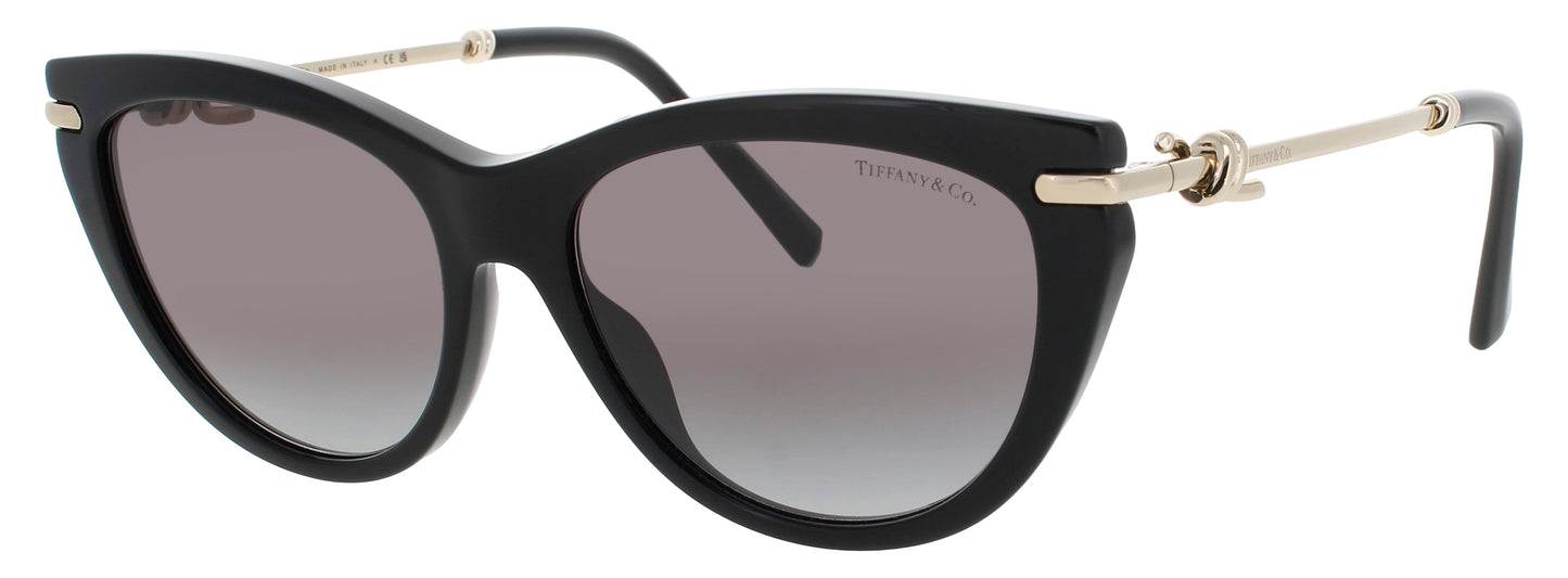 Tiffany & Co Tf4253 Sunglasses