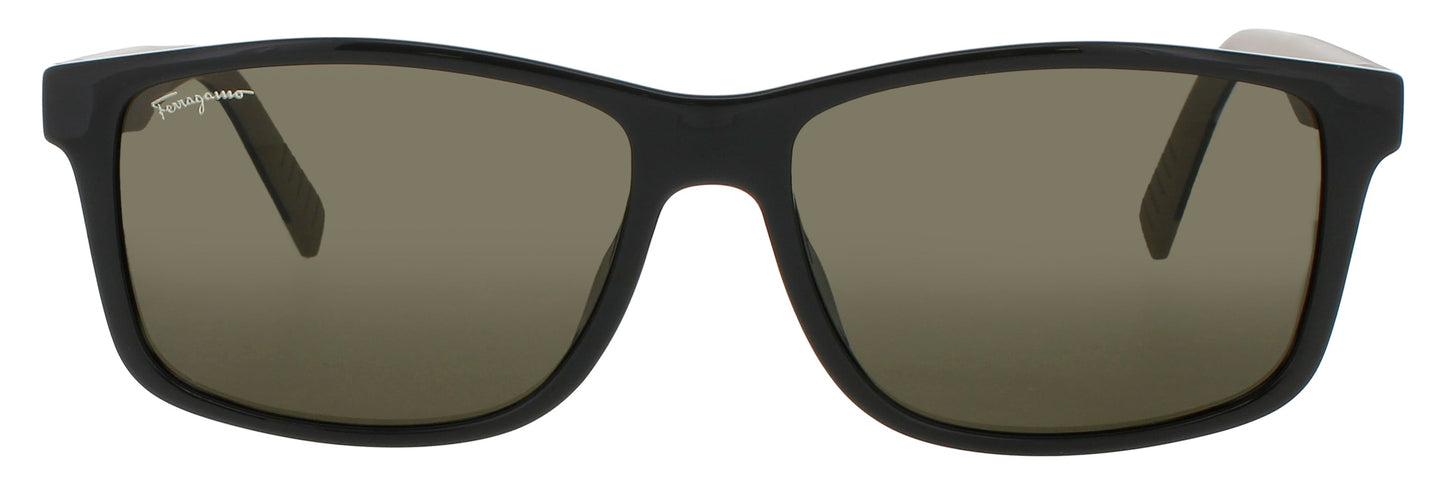Salvatore Ferragamo Sf938s Sunglasses
