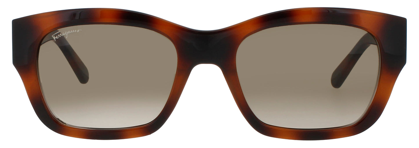 Salvatore Ferragamo Sf1012s Sunglasses