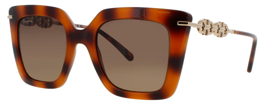 Salvatore Ferragamo Sf1041s Sunglasses