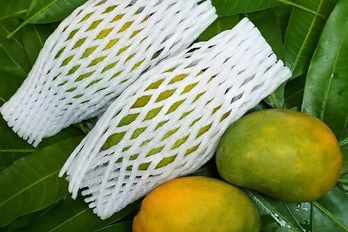 Nuziveedu Chinna Rasalu Mangoes