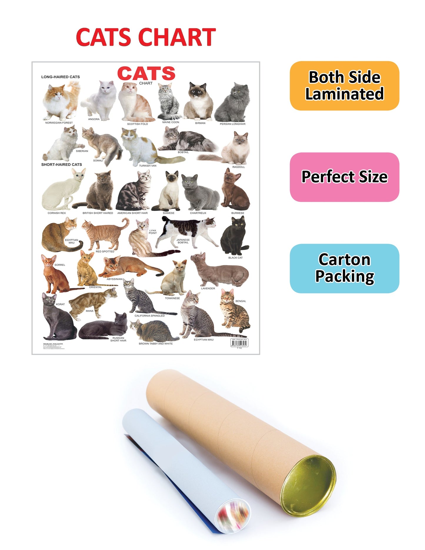 Dreamland Publications Cat Chart : Children Reference Educational Laminated Chart
