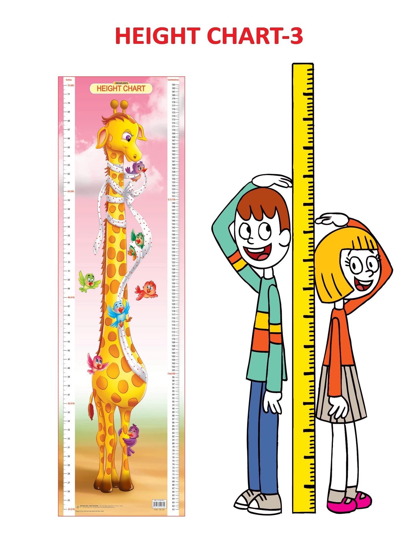 Dreamland Publications Educational Chart for Kids - Height Chart - 3