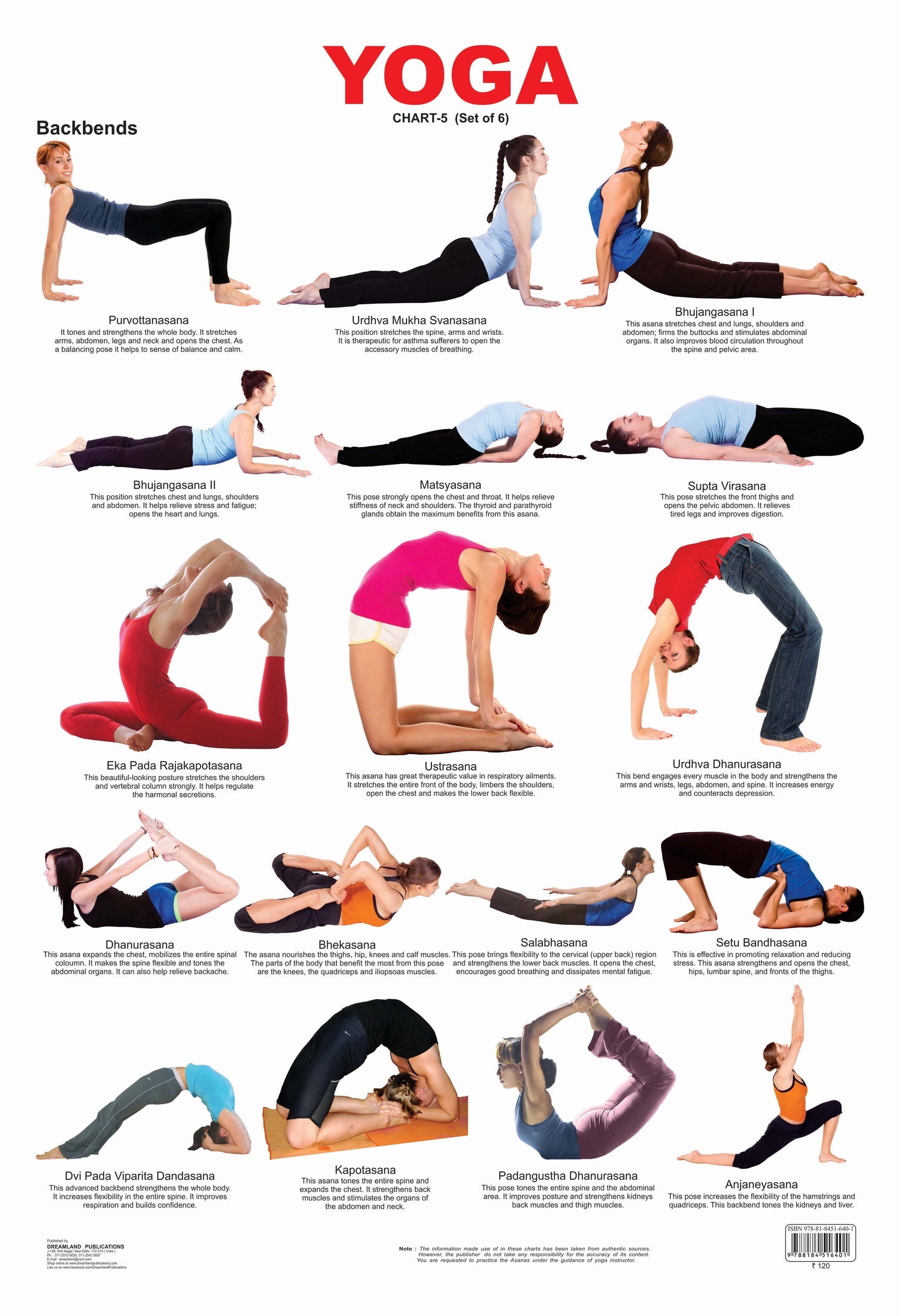 Dreamland Publications Educational Chart for Kids - Yoga Chart - 5