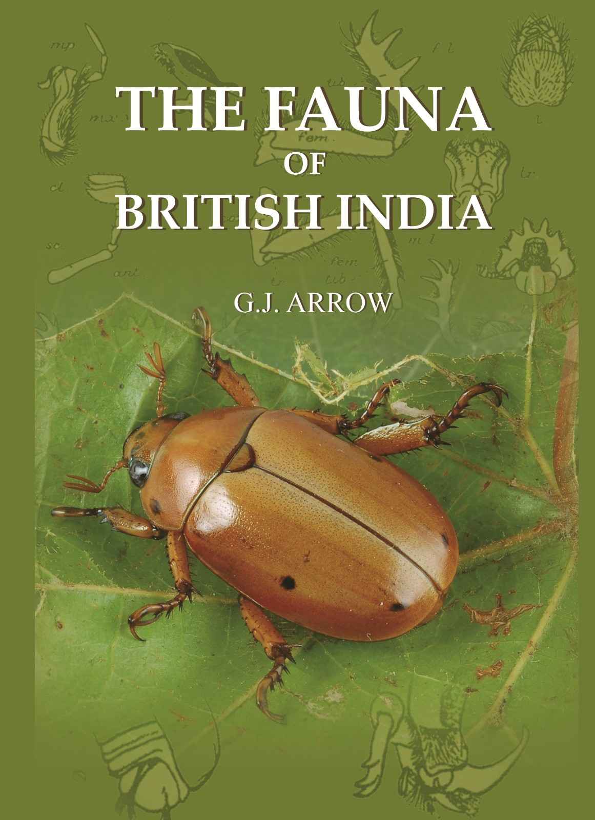 The Fauna Of British India - Gyan Books