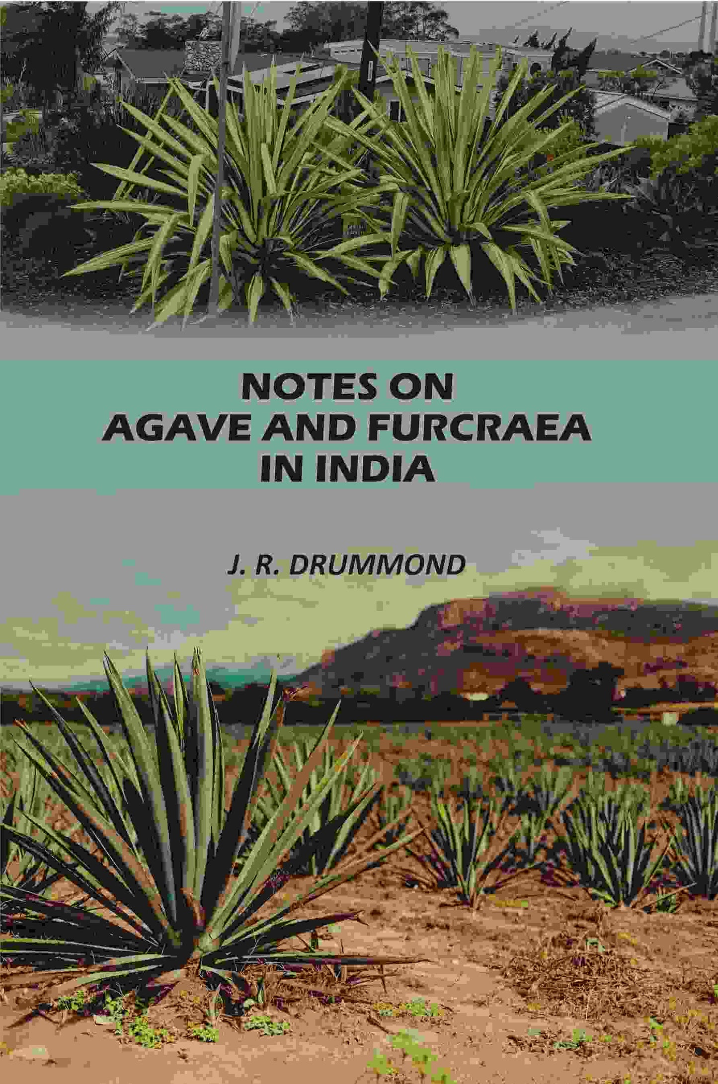 Notes on Agave and Furcraea in India - Gyan Books