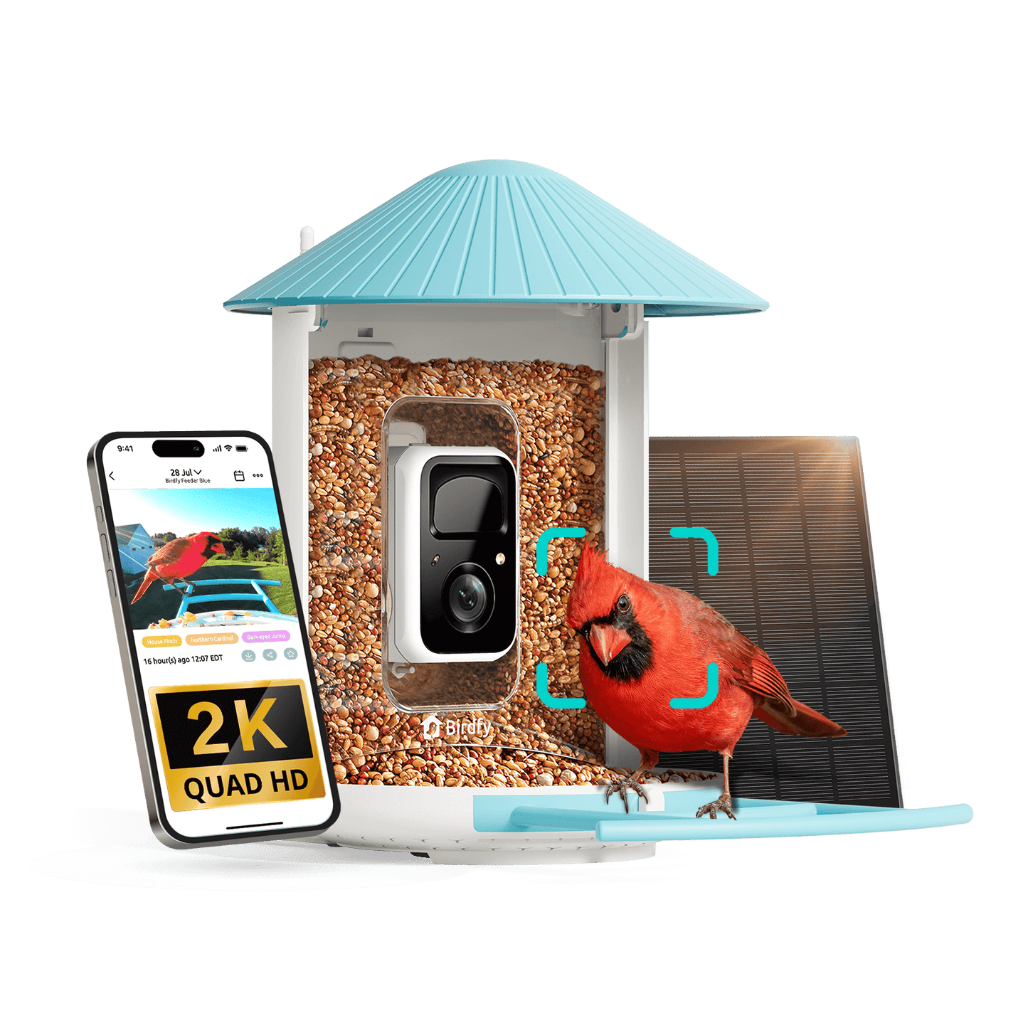 Birdfy Feeder with Solar Panel - Solar-Powered Smart Bird Feeder with Camera