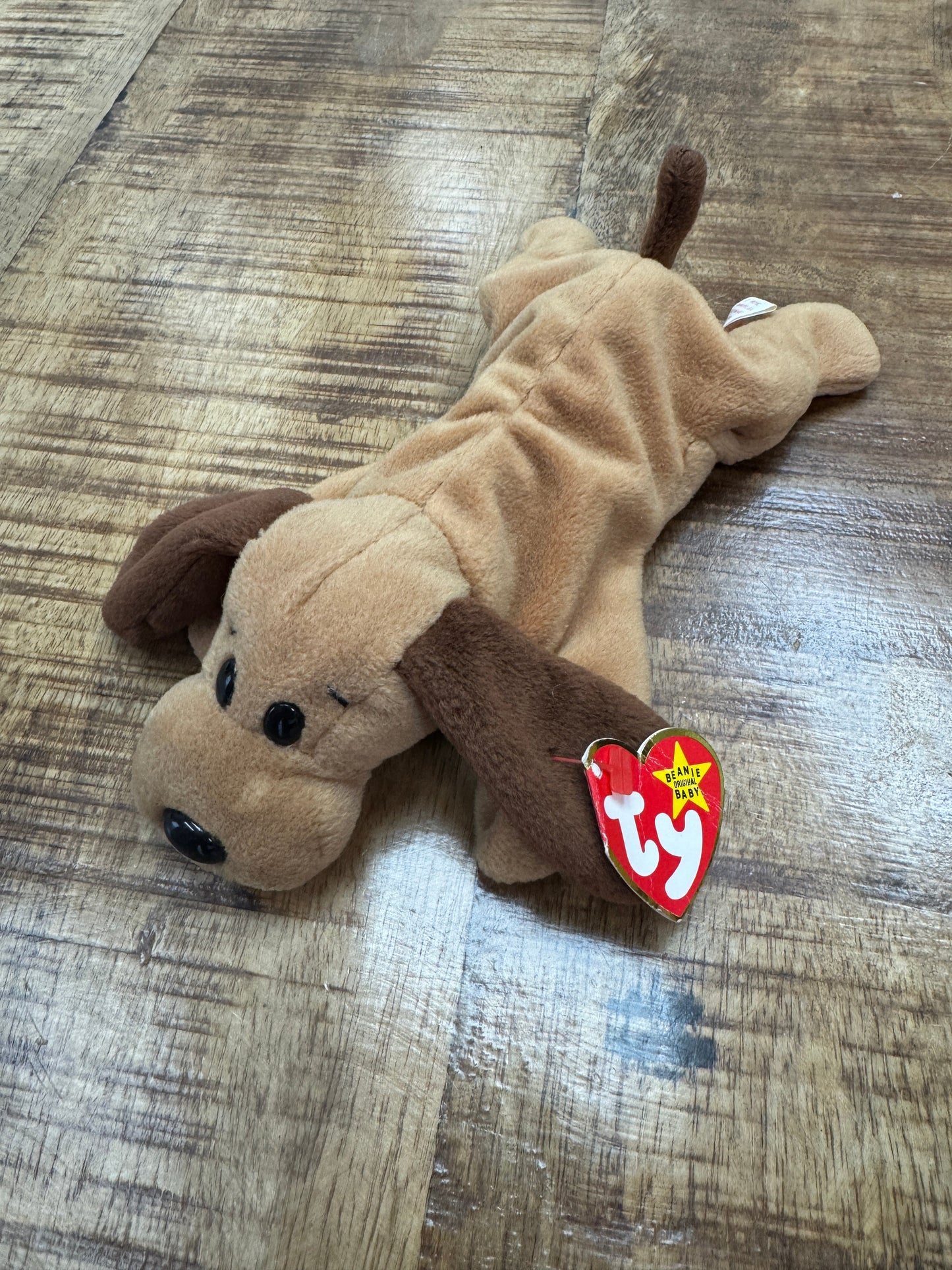 Ty Beanie Babies Bones the Dog, With14 Errors