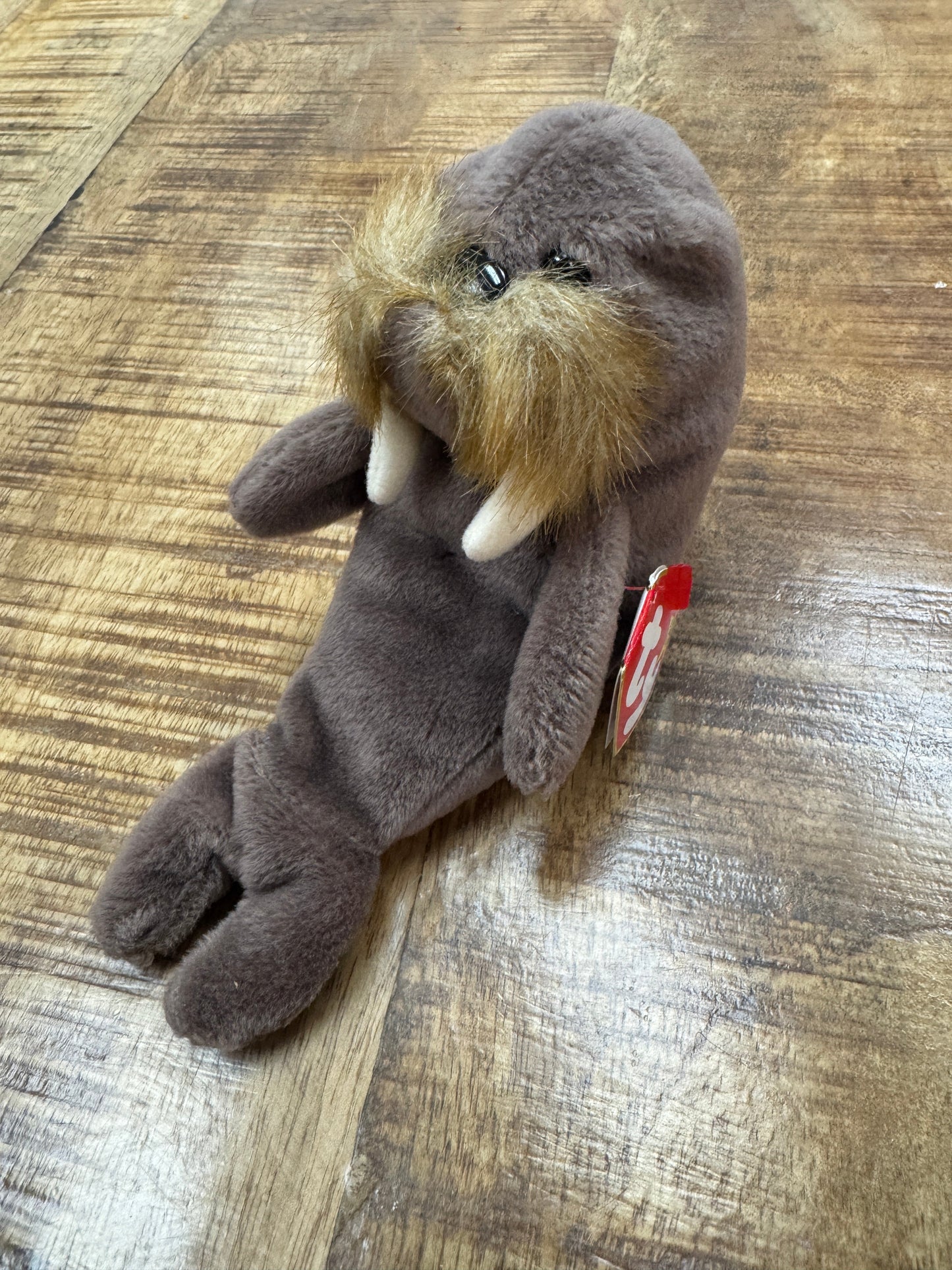 RARE VINTAGE TY Beanie Baby Jolly The Walrus Retired 1996 ☆☆ERRORS☆☆