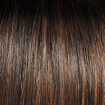 Raquel Welch Flip the Script Wig, SS8/29 Shaded Hazelnut