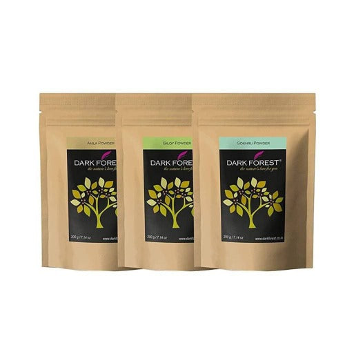 Dark Forest Rasayan Churna (Giloy,Gokhru,Amla) - 600g